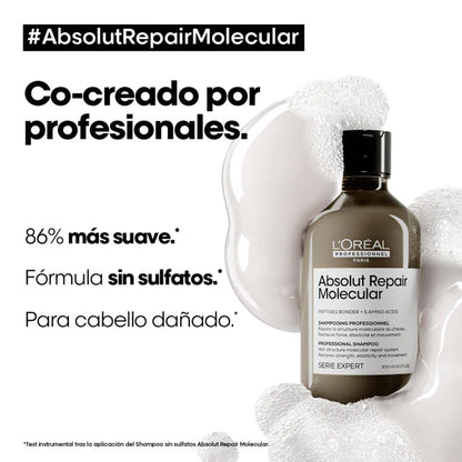 Shampoo para Cabello Muy Dañado Absolut Repair Molecular 500 ml